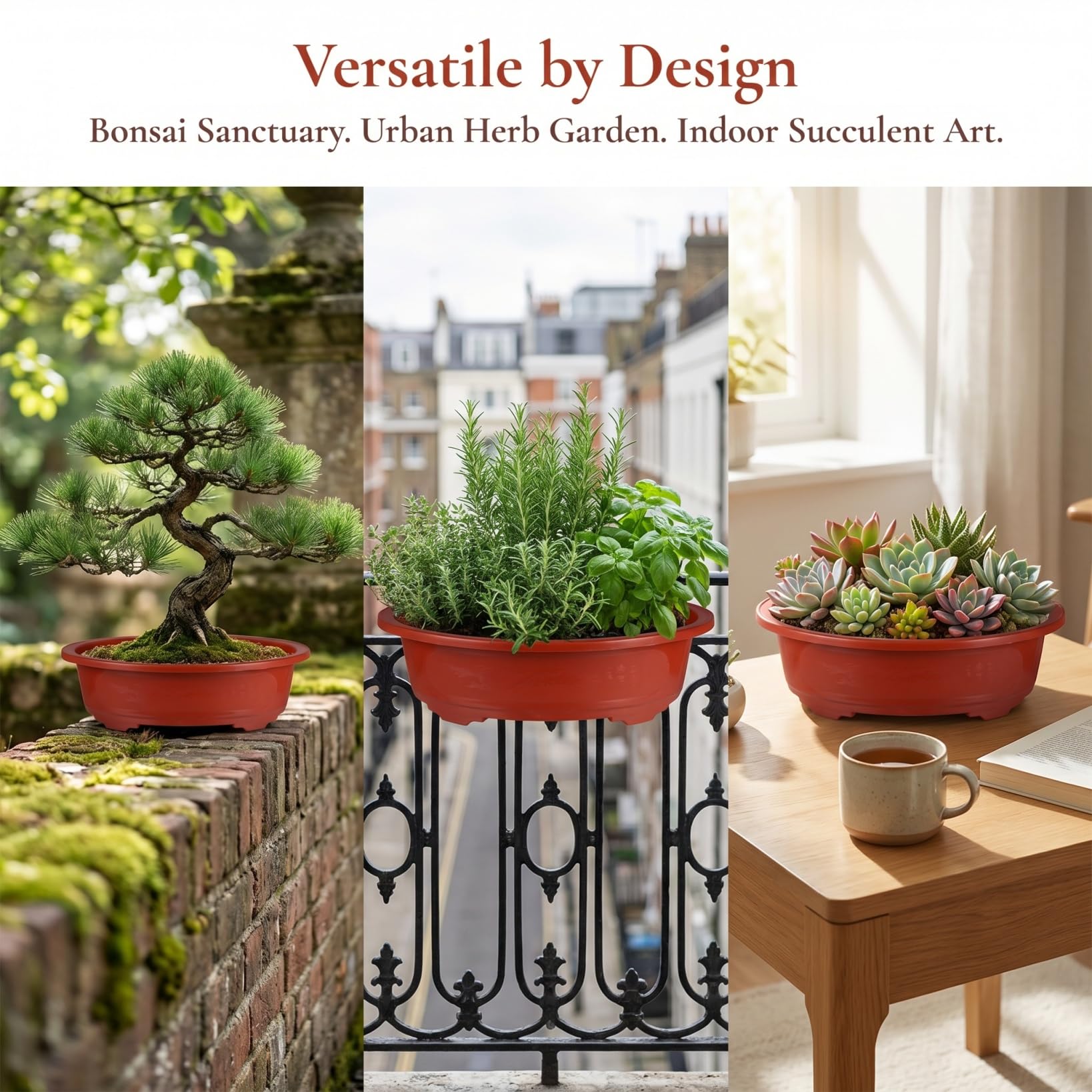 View 6