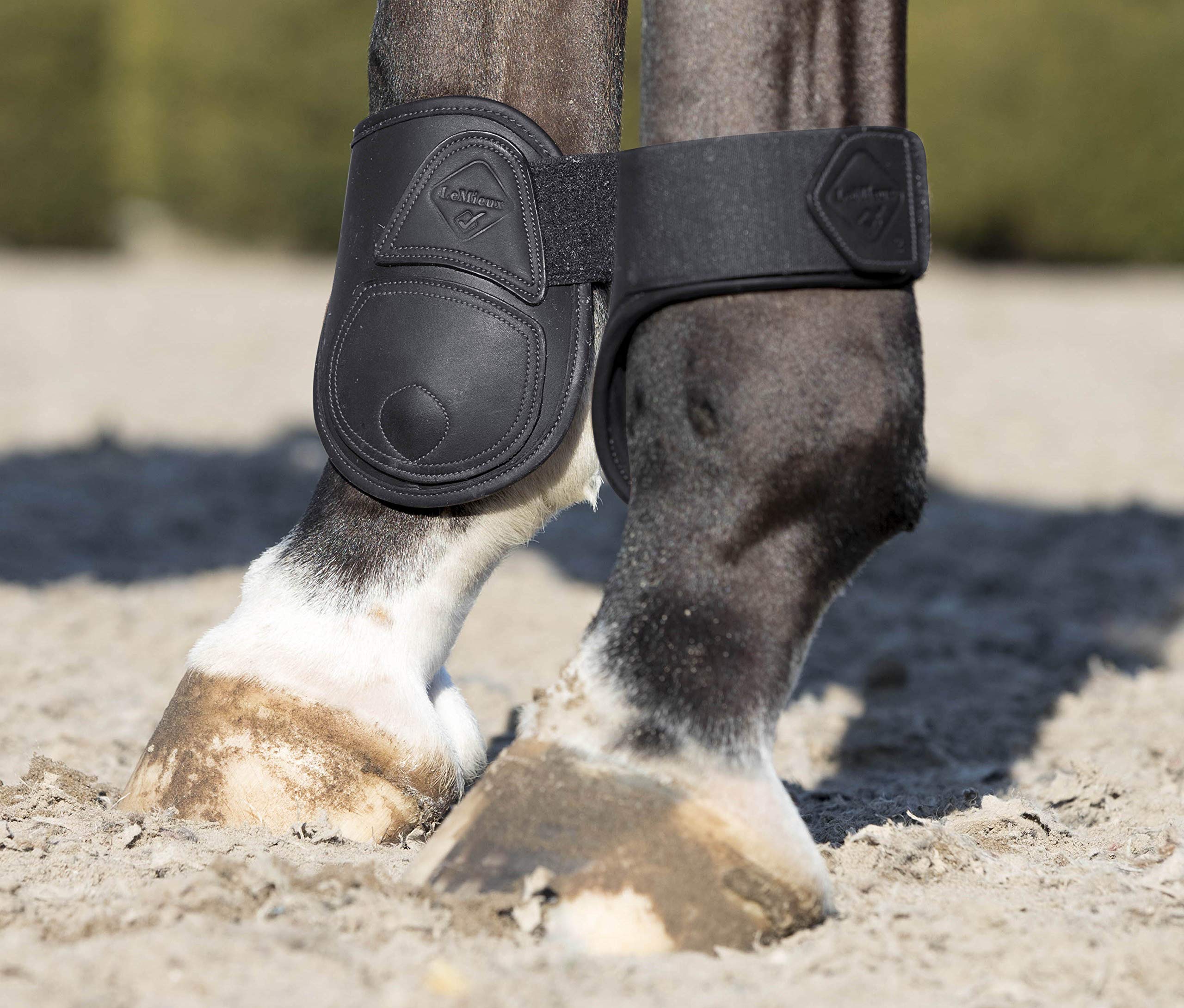LeMieux Unisex Capella Fetlock BootsLeMieux Capella Streichkappen
