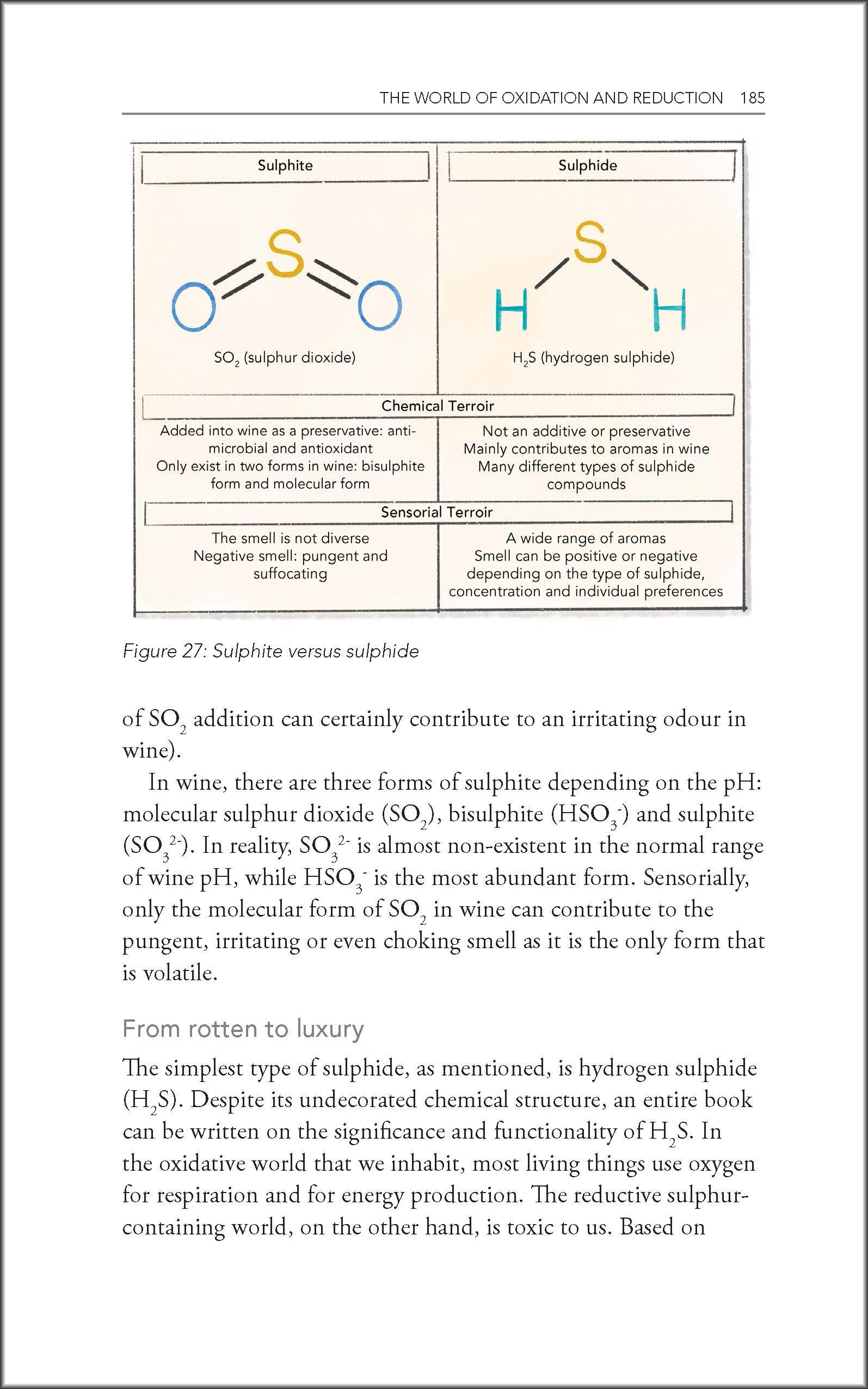 Behind the Glass: The Chemical and Sensorial Terroir of Wine Tasting