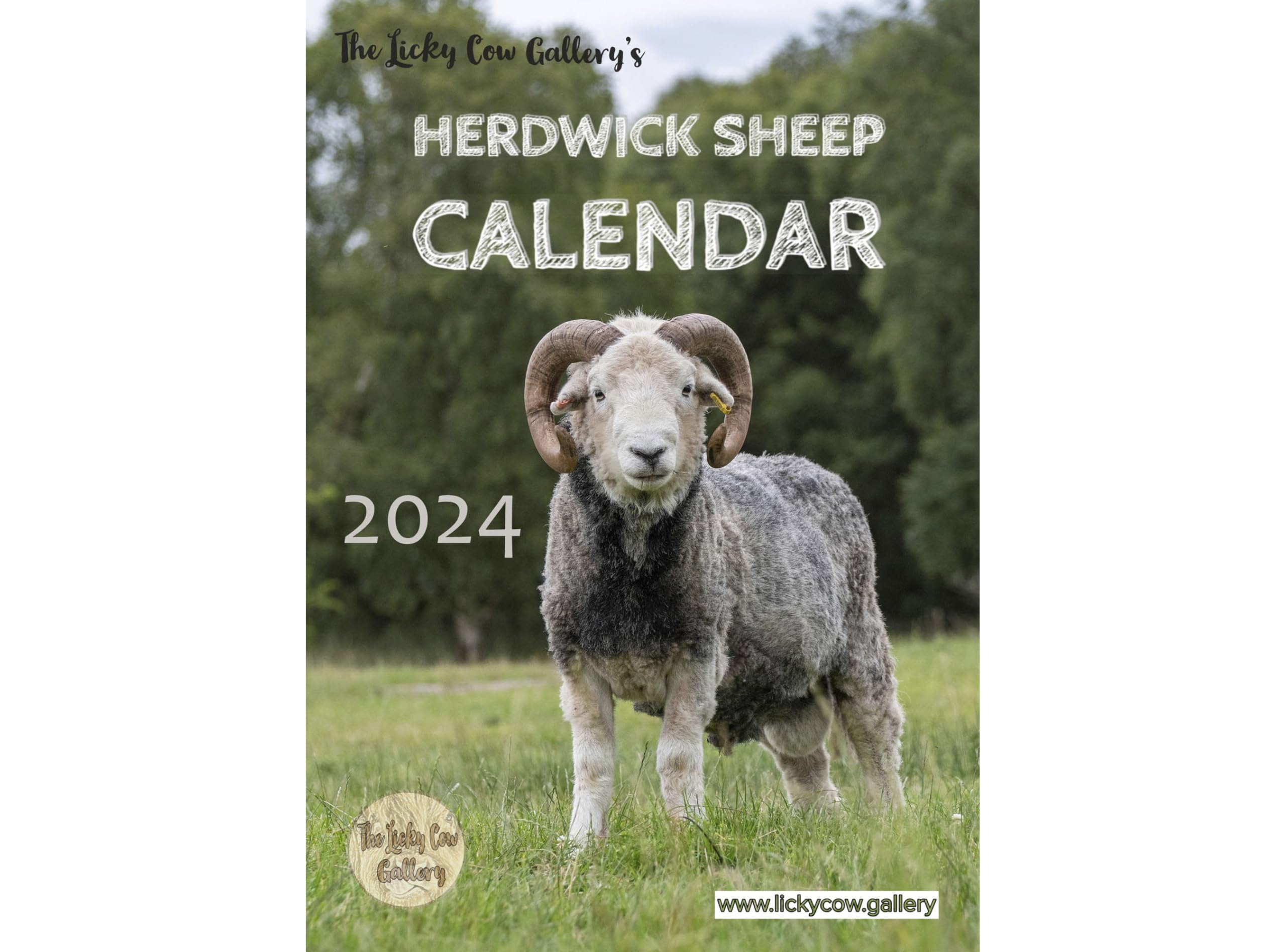 Herdwick Sheep Calendar 2024 A4 Spiral Bound with hanger. Independent UK publisher
