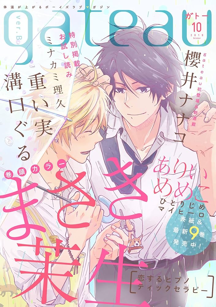 gateau　2019.10号〜2023.10号までまとめて gateau 2019.10号〜2023.10号までまとめて Amazon.co.jp: gateau