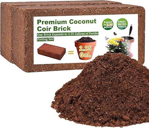 Coco orgánico Coco Coir 2 piezas de ladrillos de coco comprimido Sustrato de cáscara de fibra de coco Mantillo Núcleo de corteza de coco Cultivo
