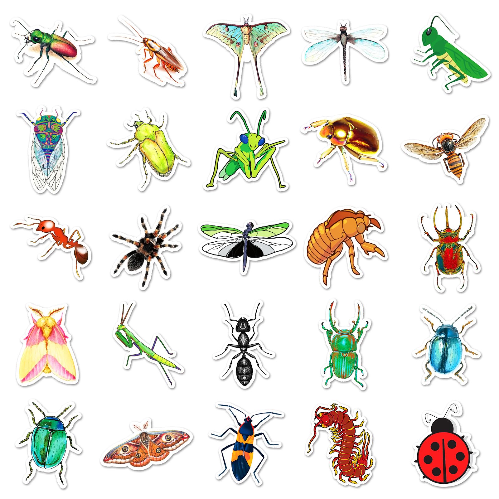 100PCS Insect Stickers for Boys Teens Kids Adults,Colorful Bug Animal Waterproof Decals for Water Bottles Mobile Phone Skateboard Guitar Laptop Luggage Helmet Refrigerator Phone Computer - Image 3