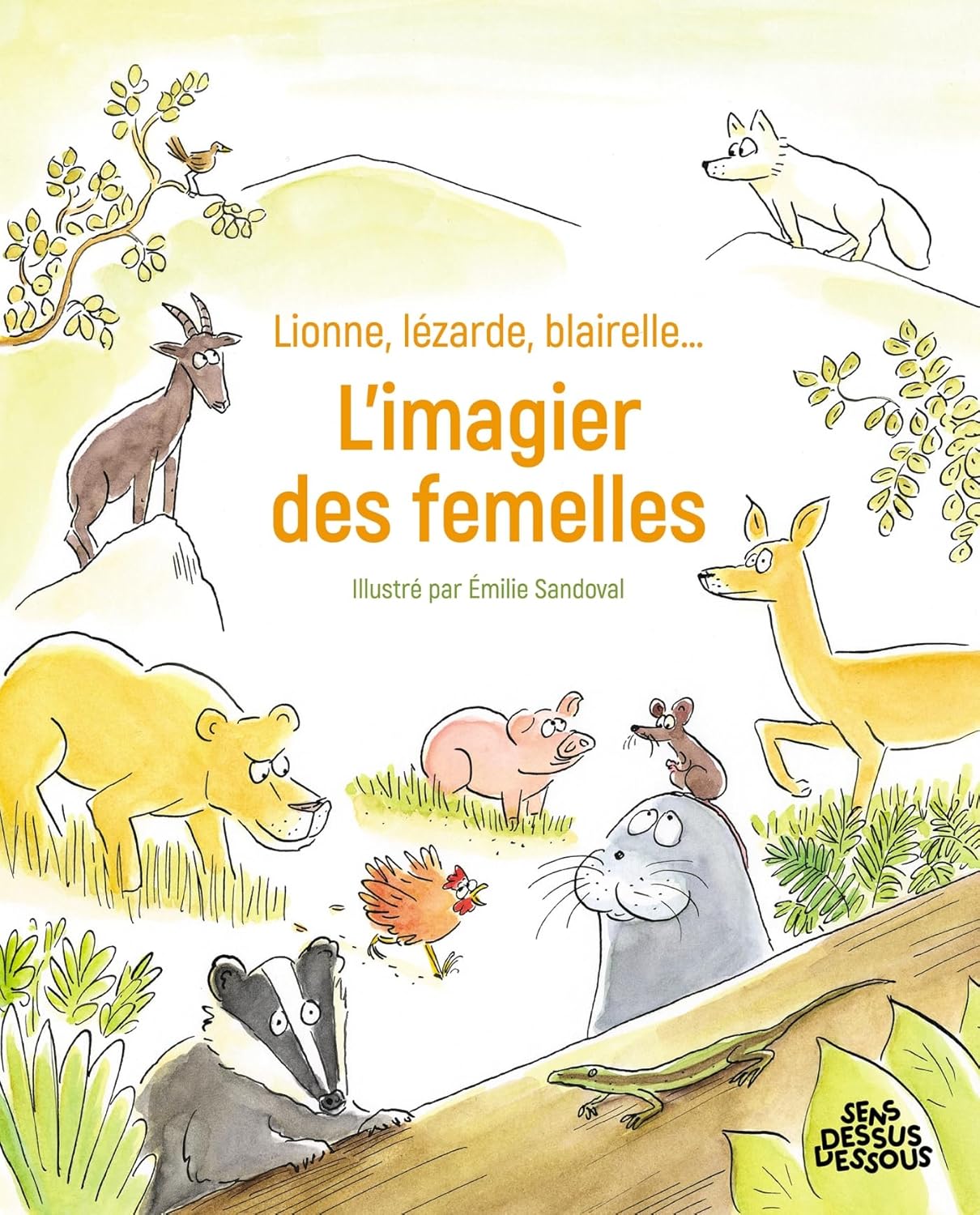 L'imagier des femelles (2025) L'imagier des femelles (2025)