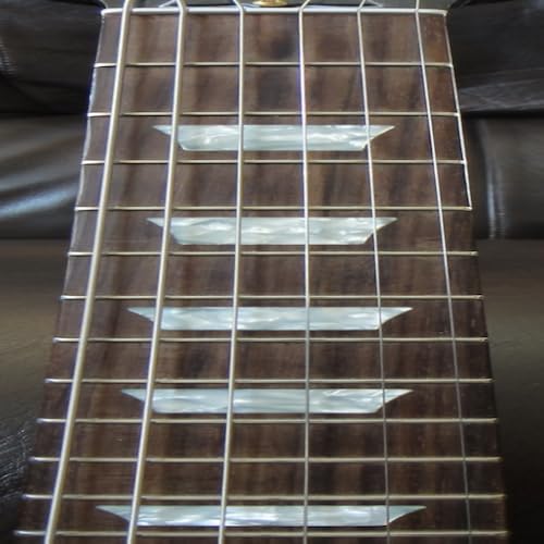 Electric Guitar Fretboard Addict Free