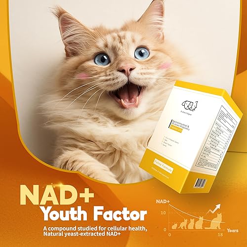 Miniatura 6 de Dr. Kiwi O'dogcat Probióticos para gatos  Apoya la salud intestinal, la diarrea, la salud digestiva y las alergias estacionales