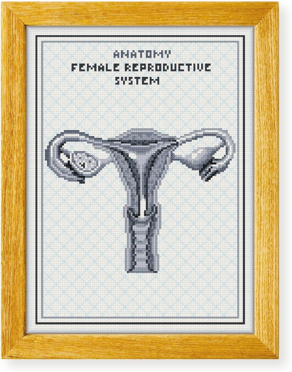 Awesome Pattern Studio Female Reproductive System The Human Anatomy DS2071, Diamond Painting Kit, Diamond Art Kits for Adults, Full Drill 5D Diamond Dots Kits. All Items Included.