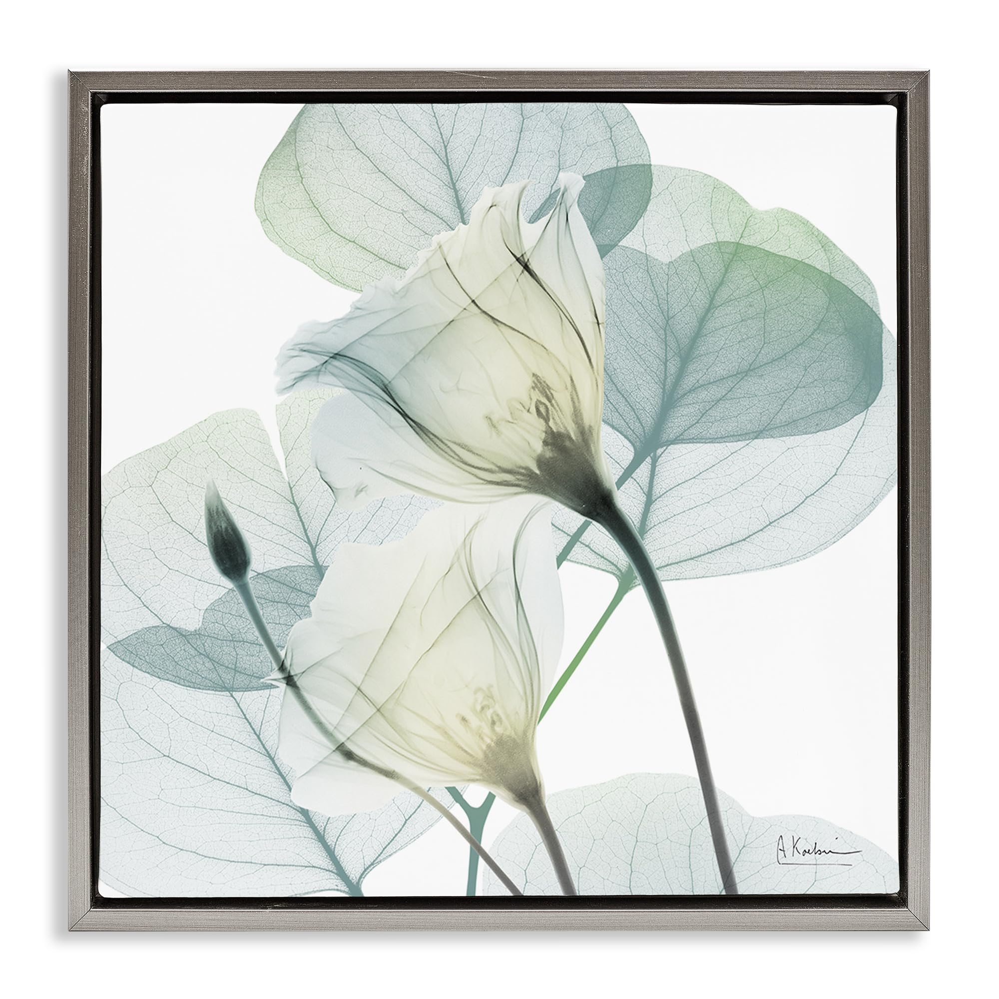 Stupell Industries 'Divine Fate Petals', Floating Frame Canvas Art, Gray, 18 x 18 Inches, Easy to Hang and Sturdy, Made in USA, by Albert Koetsier