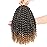 Dansama Passion Twist Hair Water Wave Braiding Hair for Butterfly Style Crochet Braids Bohemian Hair Extensions (12inch (Pack of 6), T1B/27)