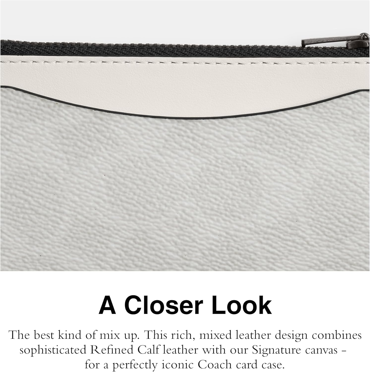 Zip Card Case in Signature