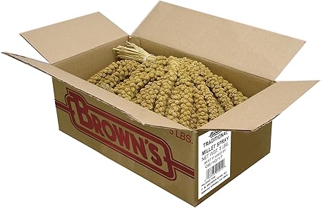 spray millet 5 lb