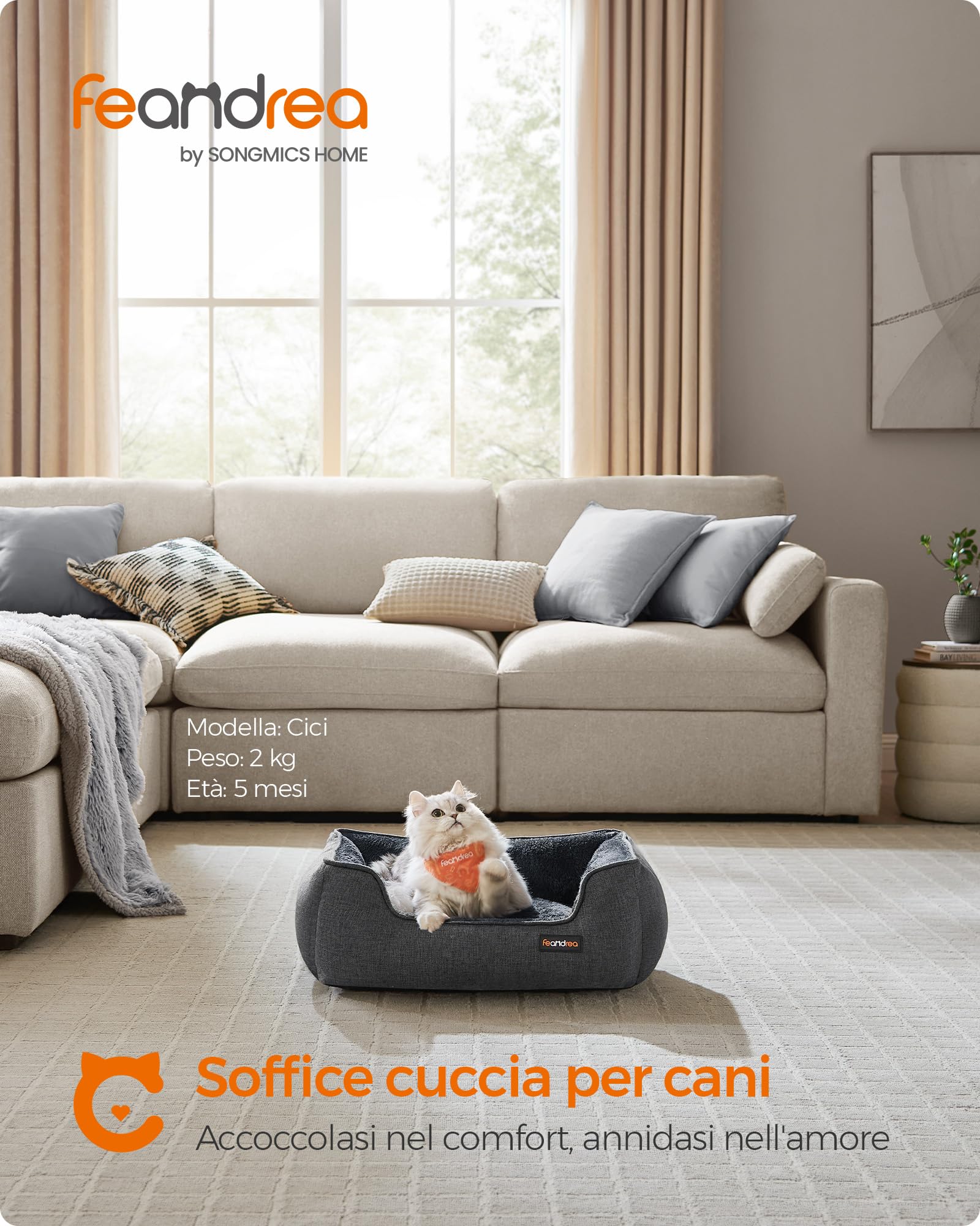 Feandrea Cuccia per Cani, Lettino per Animali in Simil Lino, Bordi Rialzati, Fondo Antiscivolo, Copertura Sfoderabile per Lavaggio, S per Gattini e Cuccioli, 60 x 50 x 21 cm, Grigio Scuro PGW009G01