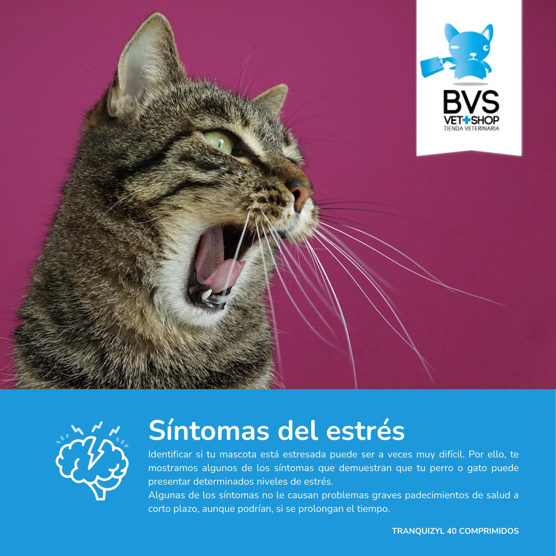 BVS Vet Shop | Tranquizyl 40 comprimés pour Chiens | Complément idéal pour Aider Votre Animal à se détendre et à Rester Calme dans Les Situations stressantes | 225 MG