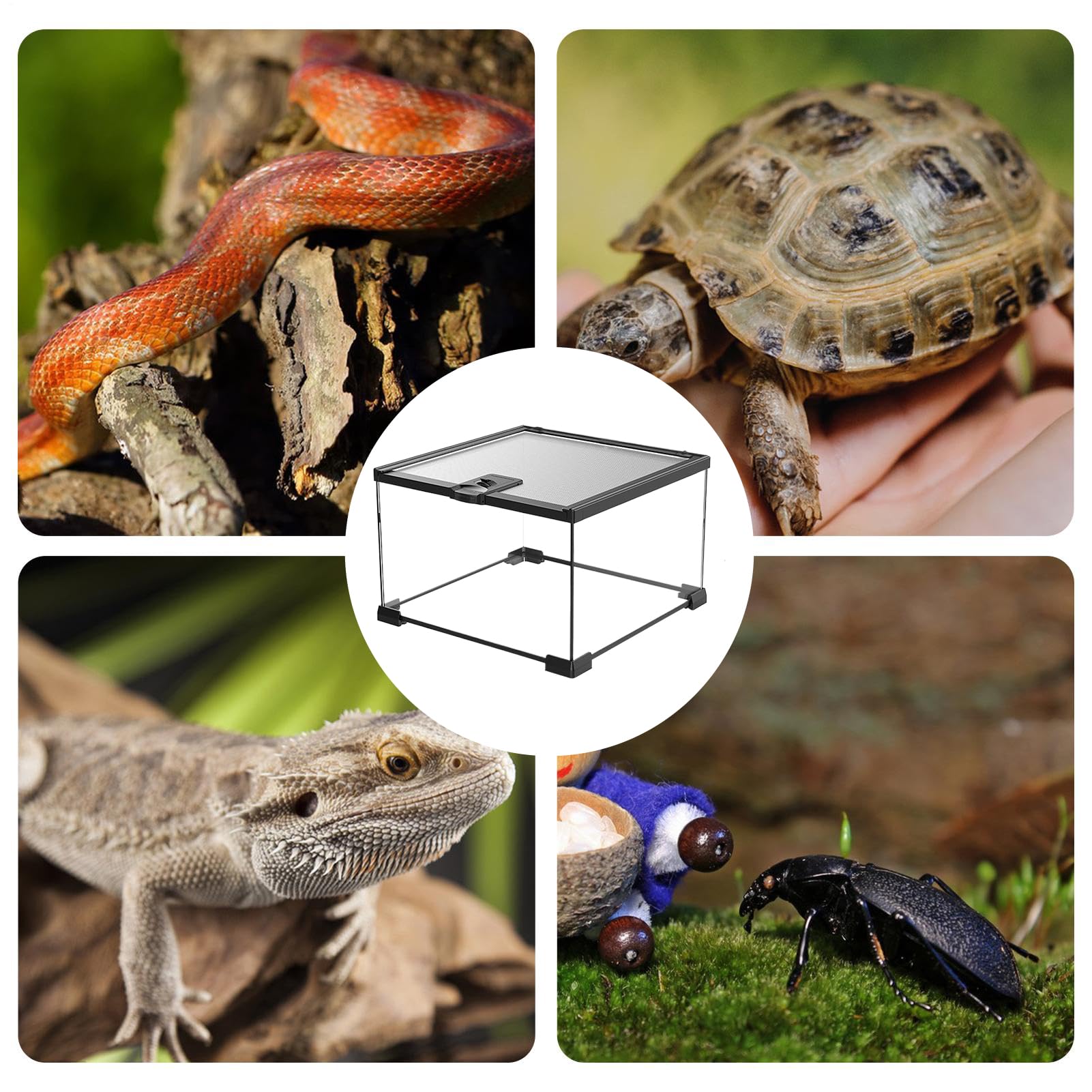 Reptilien- und Amphibien-Tank, Lebensraumgehege – Sicherheitsbehälter für Schildkröten, Vogelspinnen, Chamäleons, kleine Haustiere, Innen- und Außenbereich, Terrarium