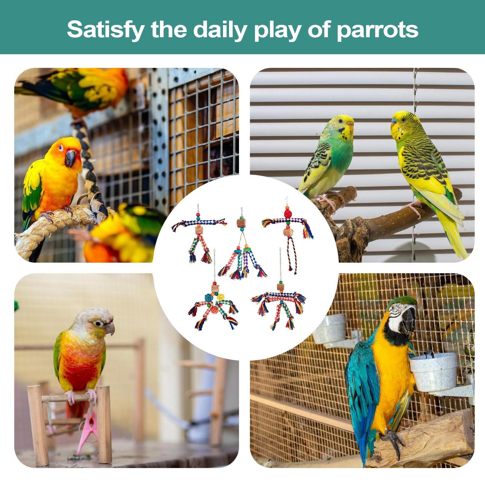 コザクラインコ　剥製 剥製・鳥 58| フランスアンティーク雑貨のSibora