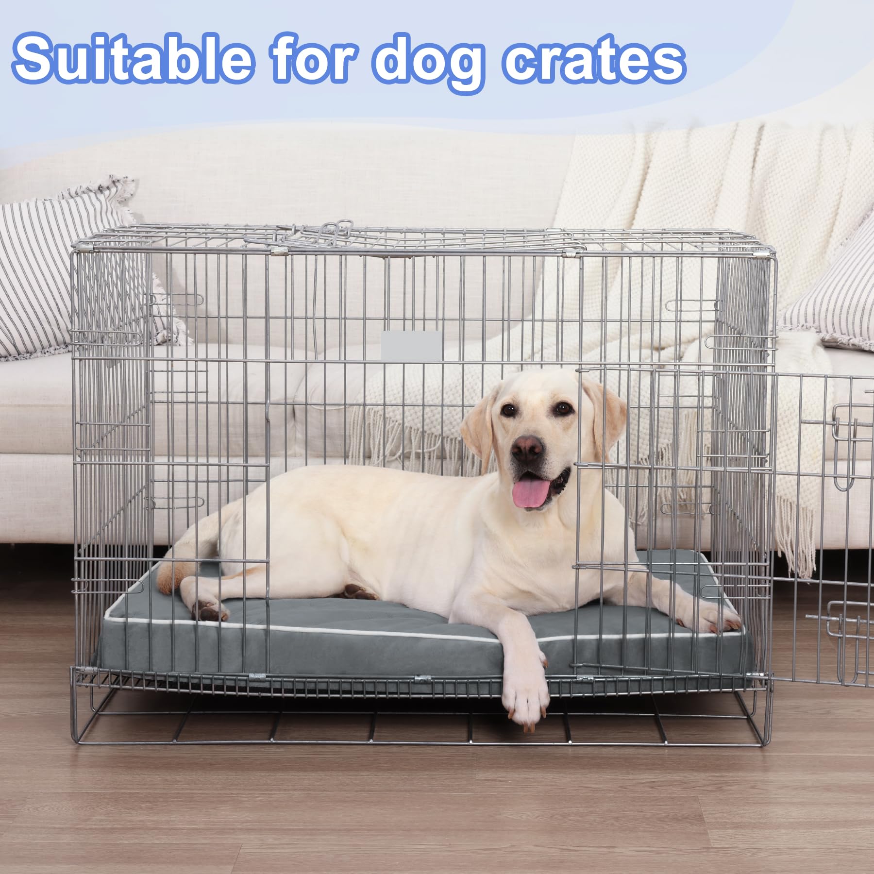 https://m.media-amazon.com/images/I/81joR4GW-wL.jpg