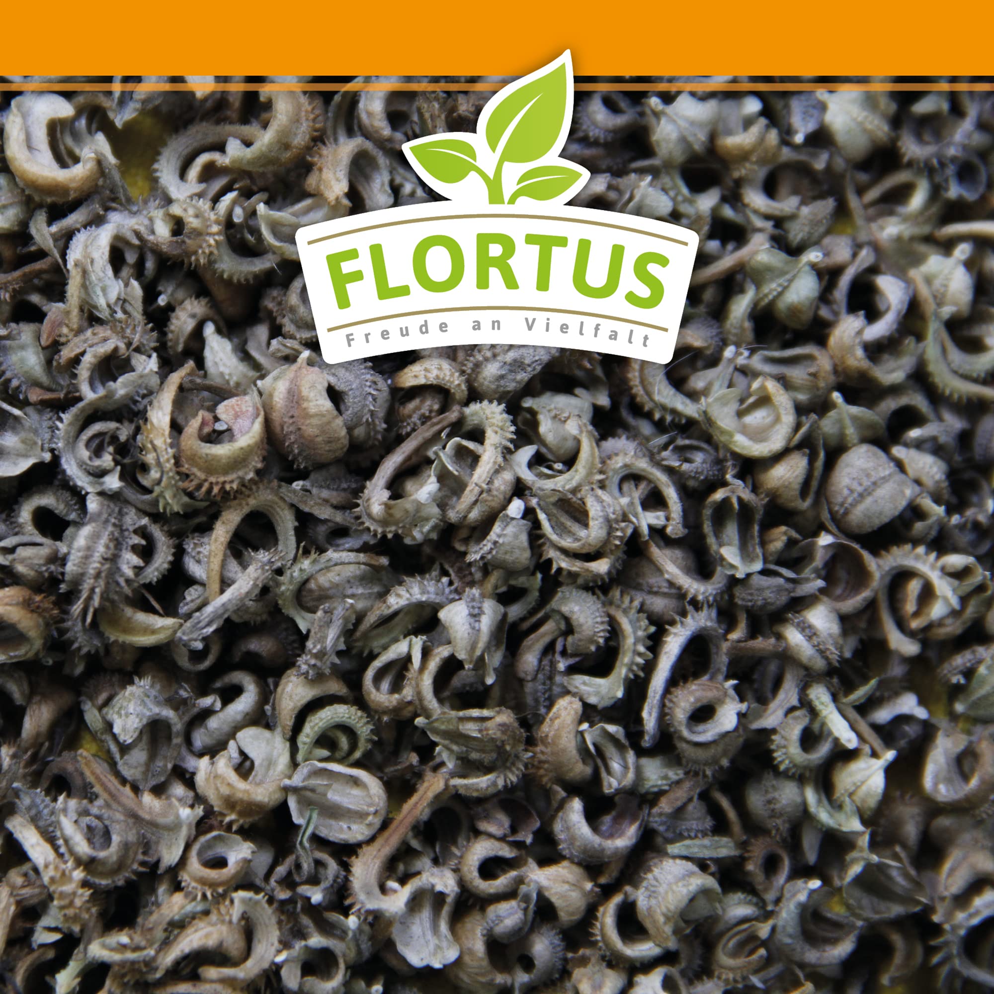 FLORTUS – Ringelblumen Samen Mischung 1kg Gelb-Orange zum Aussähen – Blumensamen für Bienenweide – Calendula officinalis Saatgut für bienenfreundliche Ringelblumen Pflanzen mit essbaren Blüten