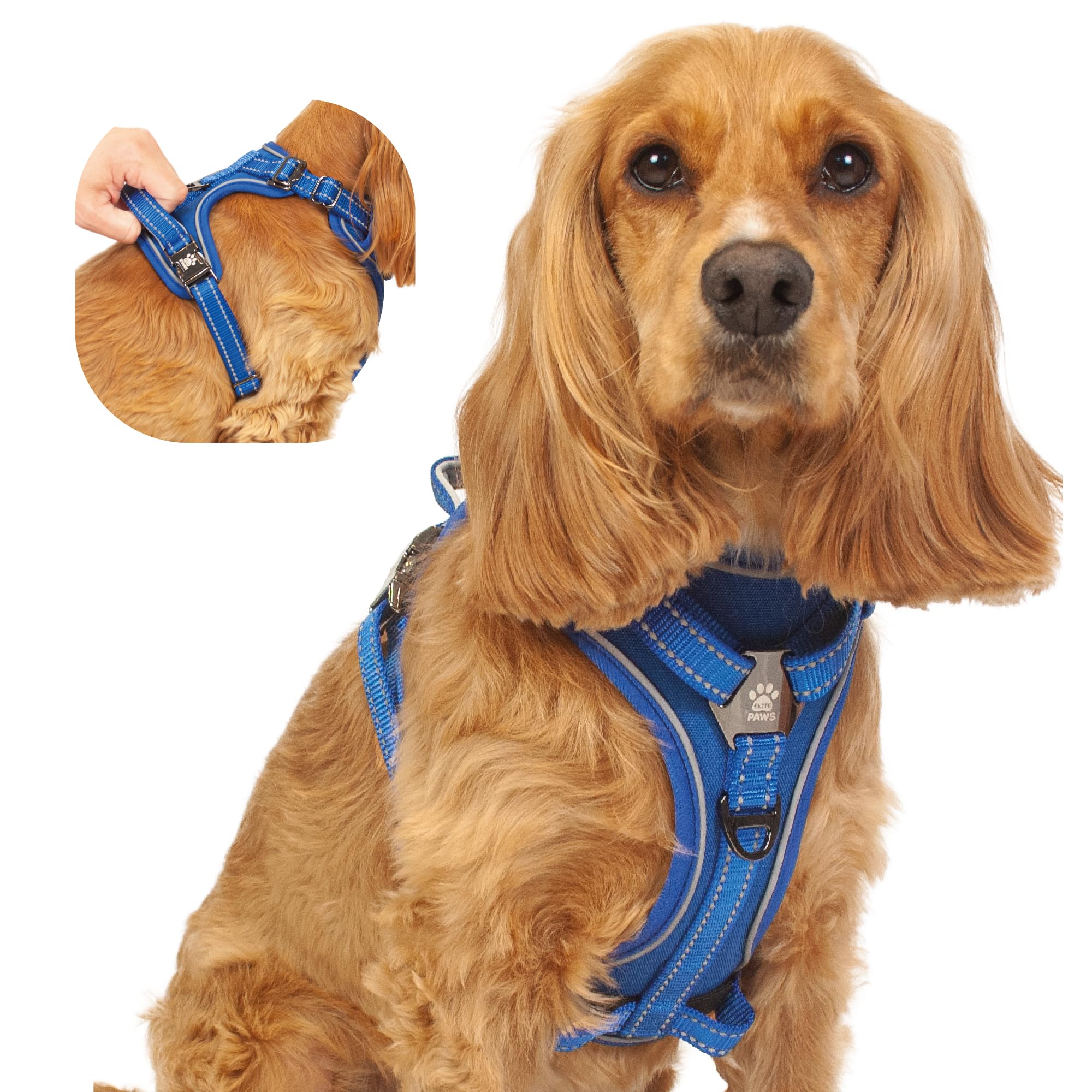 Best dog harness for cocker spaniel Sale Black Friday