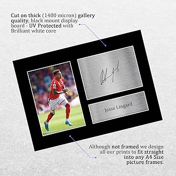 【限定】LingOrm フォトカード＆サイン入りポスターセット Amazon.co.jp: ゼンレスゾーンゼロ ゼンゼロ ZZZ 公式グッズ