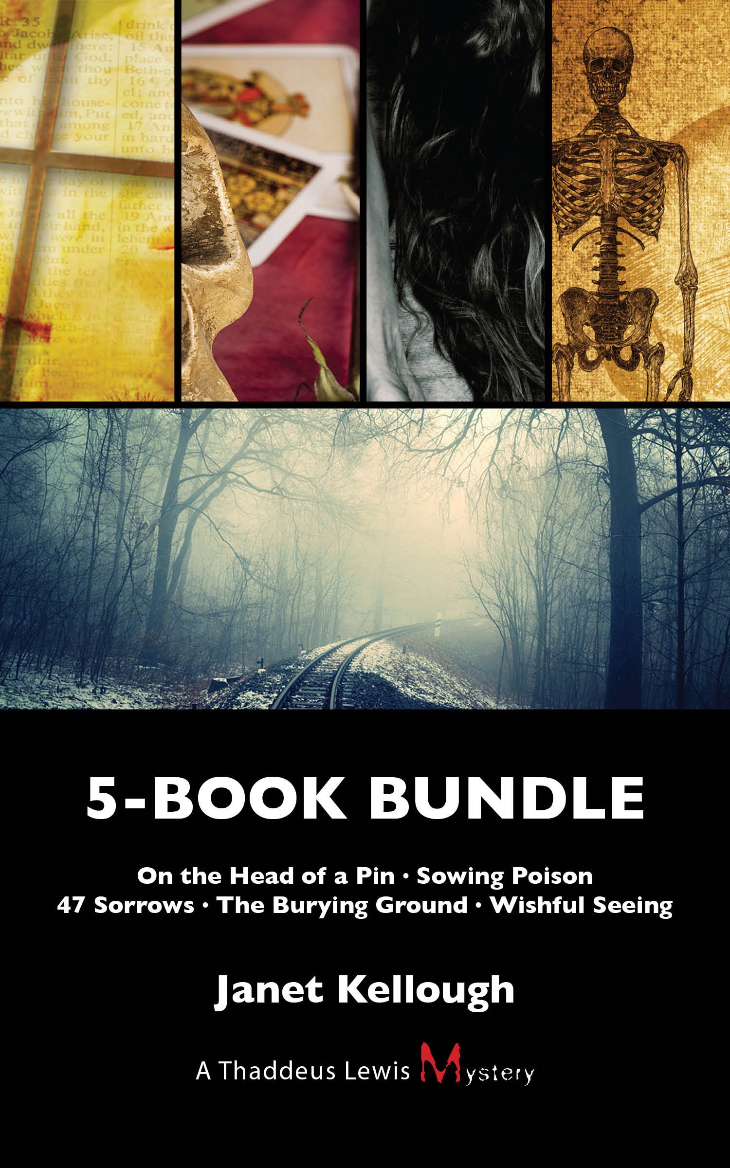 Thaddeus Lewis Mysteries 5-Book Bundle: On the Head of a Pin / Sowing Poison / 47 Sorrows / The Burying Ground / Wishful Seeing (A Thaddeus Lewis Mystery)