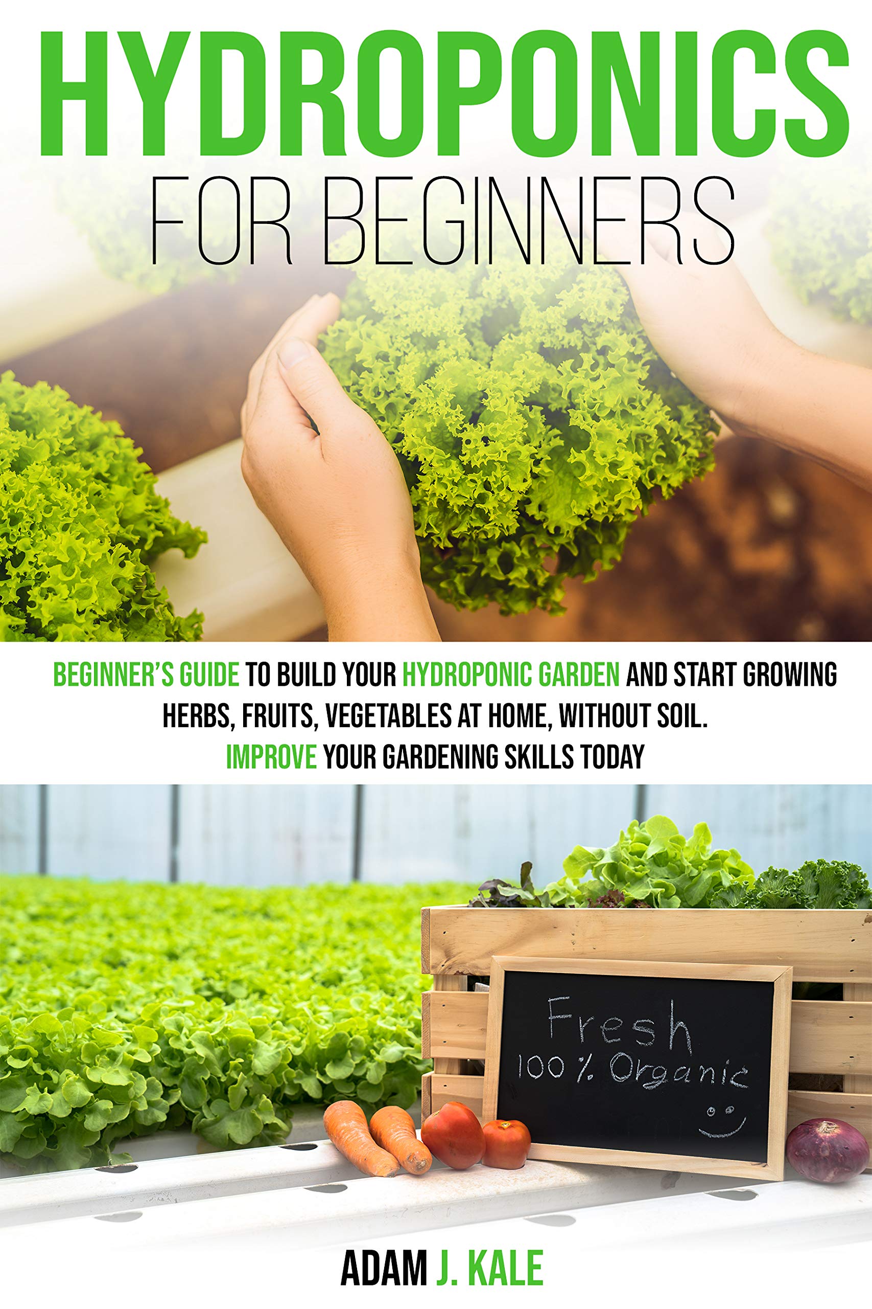 Buy Hydroponics for Beginners A Beginner’s Guide to Build Your
