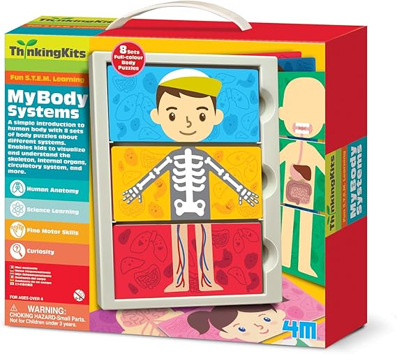 4M My Body Anatomy Science Kit Toys & Games