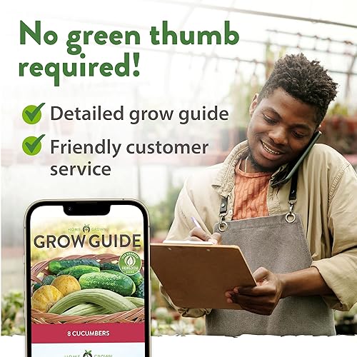 Miniatura 8 de HOME GROWN 8 semillas de pepino para plantar, limón, encurtido nacional, armenio, beit alfa, ocho semillas de pepino rectas, semillas de vegetales