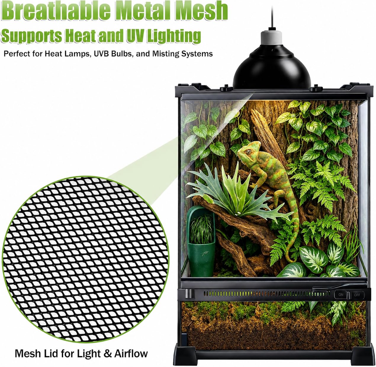 Reptilien-Terrarium, 25,4 x 25,4 x 35,6 cm, Vollglas-Tankgehege für kleine Reptilien, Geckos, Frösche, Eidechsen, Schlangen, Spinnen, Schildkröten, vertikaler Regenwald-Lebensraum