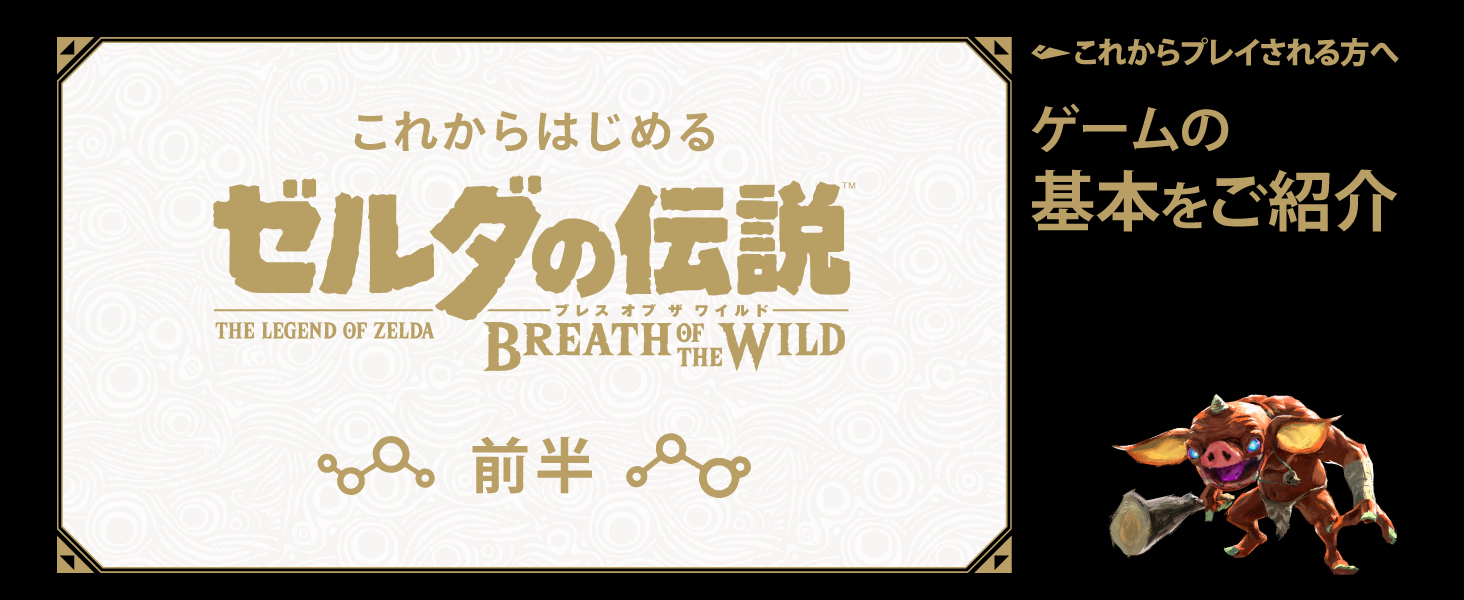 Amazon.co.jp: 【Switch用追加コンテンツ】 ゼルダの伝説 ブレス オブ