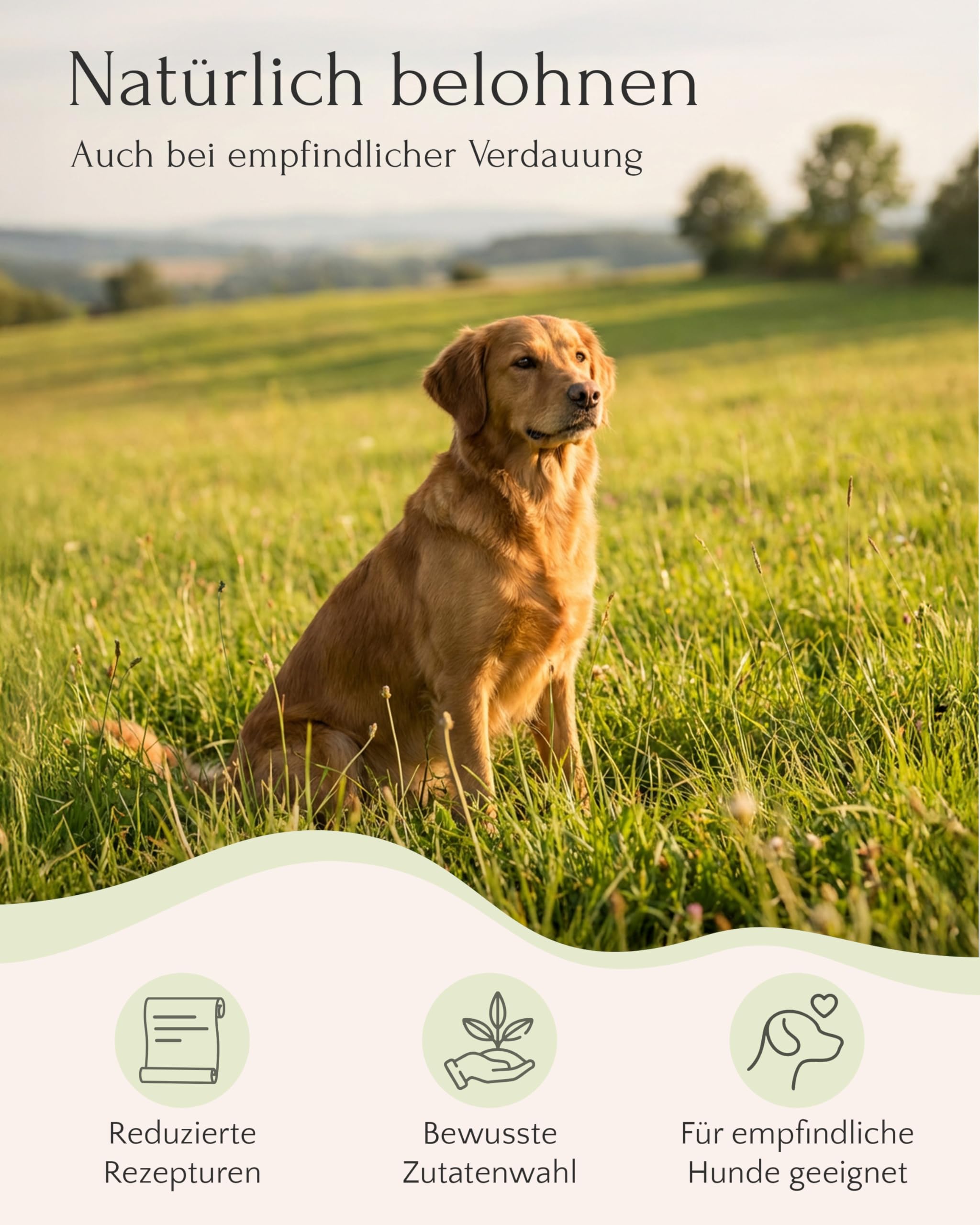 FAVLY Pure Bites Lamm 6x120g, softe Hundeleckerli, Monoprotein | 96% Fleischanteil, getreidefrei & zuckerfrei, für Allergiker geeignet, ideal als Trainingsleckerli, hohe Akzeptanz