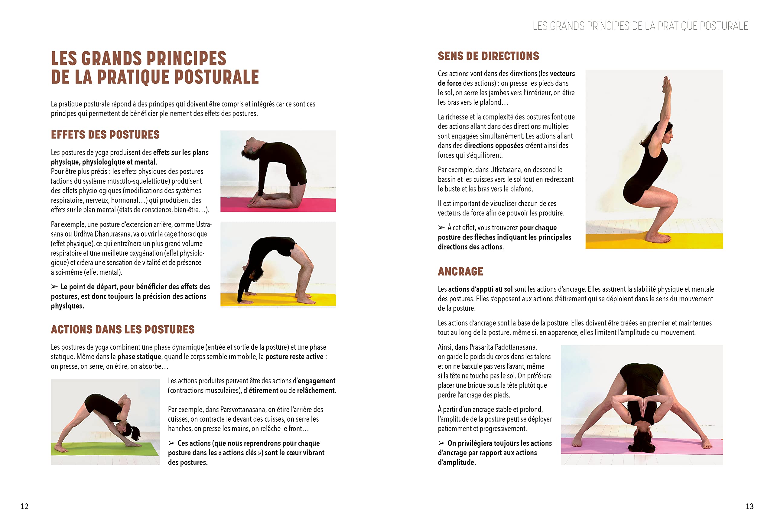 L'encyclopédie du Yoga postural