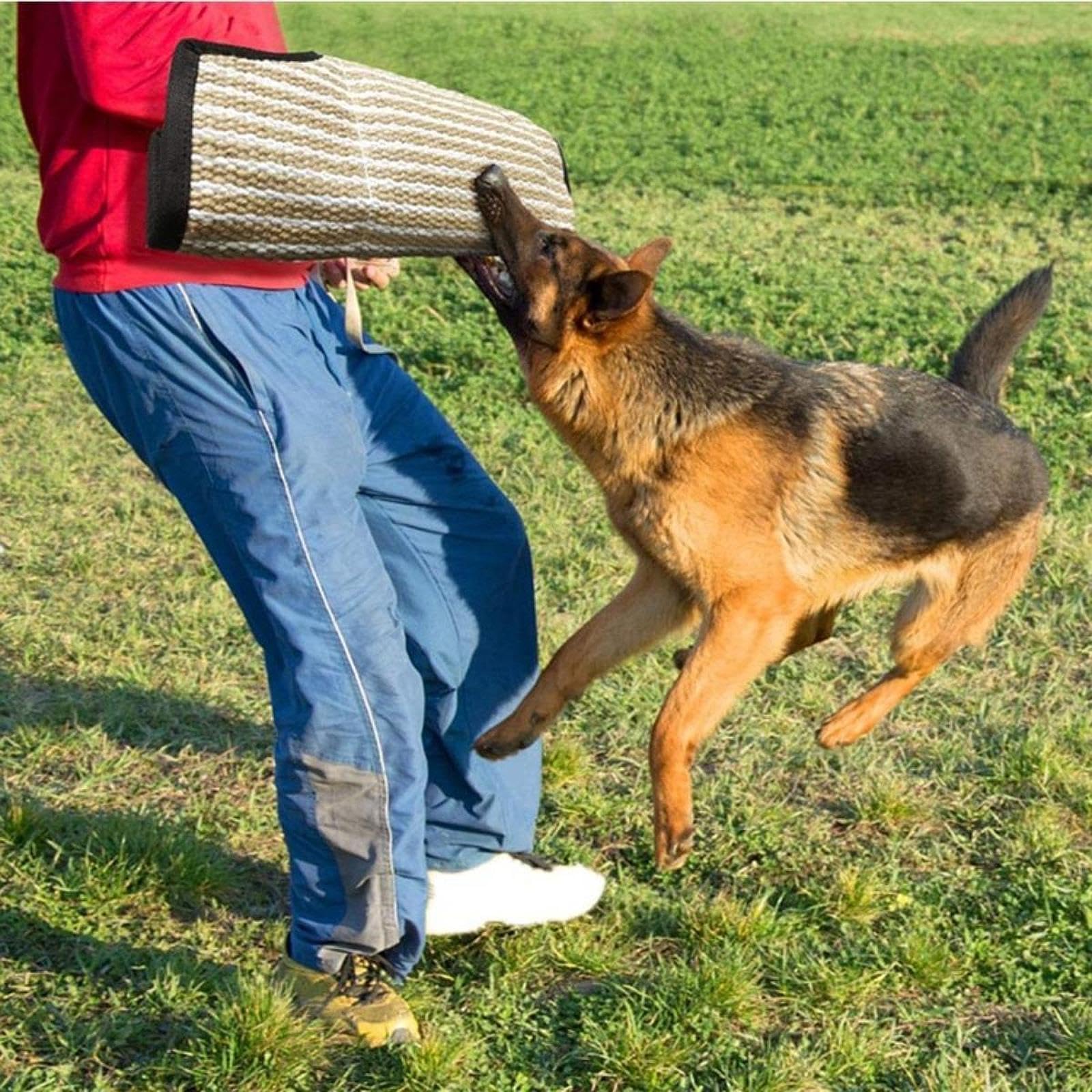 Kit de Adiestramiento para Perros Mordedores