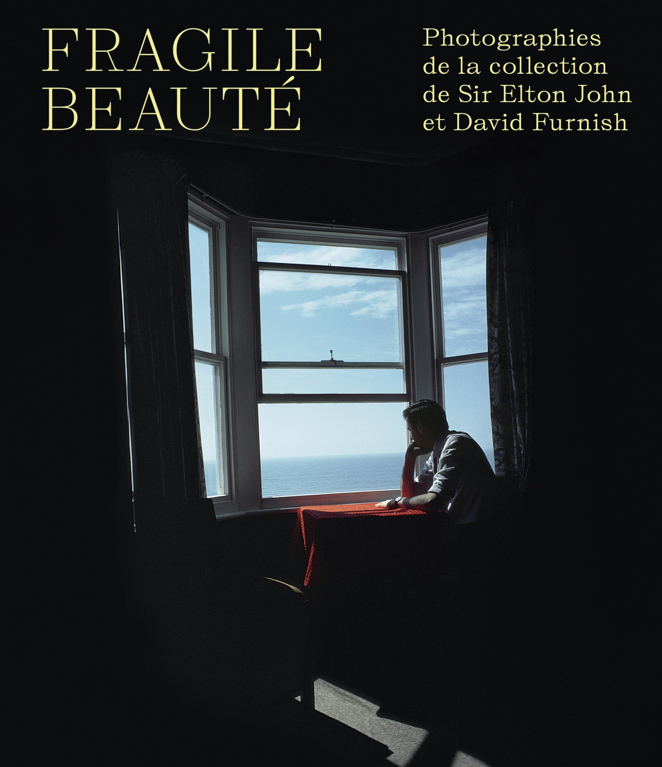 FRAGILE BEAUTÉ: Photographies de la collection de sir elton john et david furnish