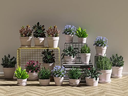 Miniatura 5 de Macetas pequeñas de arcilla de terracota rosa de 2 pulgadas con agujeros de drenaje para pequeñas hierbas de cactus lithop, maceta pequeña para