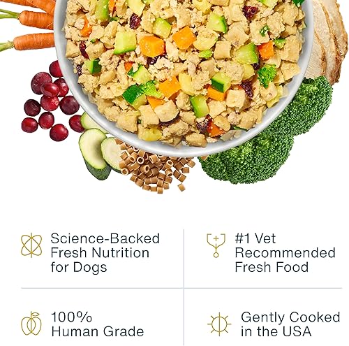 Miniatura 27 de JustFoodForDogs Alimento fresco congelado para perros, comida completa o alimento para perros, receta de alimento humano de carne de res y patata