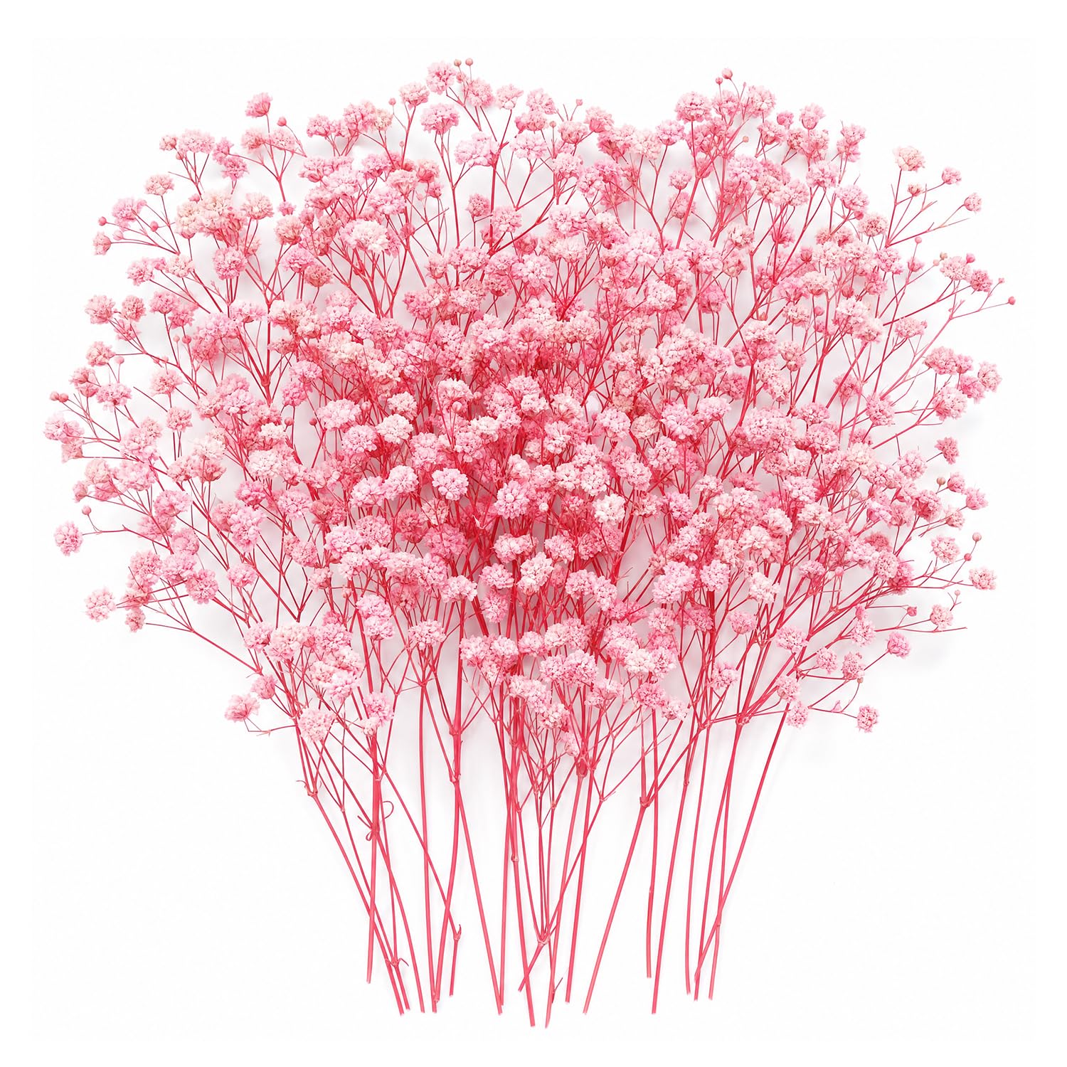 50 Pcs Dried Flowers, Real Natural Dried Gypsophila Flowers Mini Pressed Flowers for Crafts Resin Art DIY Making Wedding Card Cakes Home Décor (Pink)