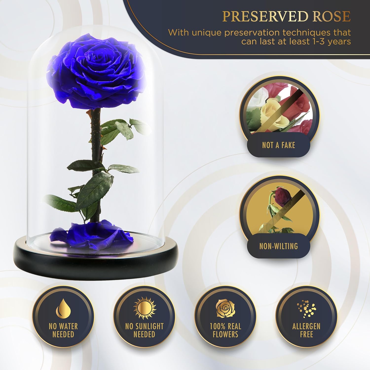 Features of Preserved Rose: Not a fake, non-wilting, 100% real flowers, allergen-free