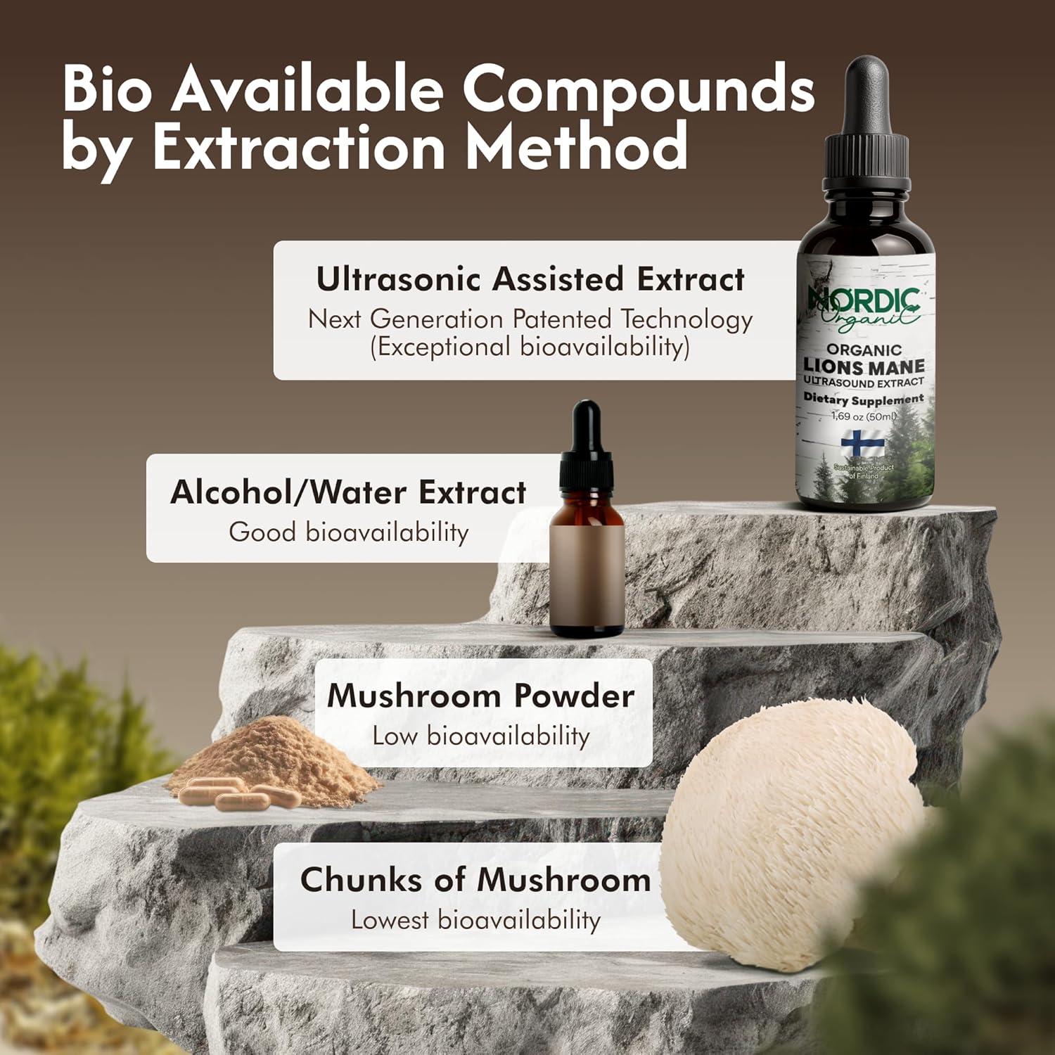 Lion’s Mane Organic Mushroom Tincture – Ultrasound Extract, 100% Fruiting Body, Finland & EU-Grown, Tested Beta-Glucans & Hericenones for Focus, Memory & Cognitive Support, 50ml Up to 50-Day Supply