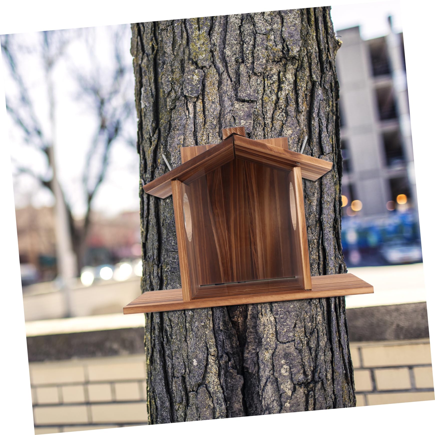 Holz Futterspender für Eichhörnchen mit Wetterfestem Design und Einfacher Wandmontage für Garten und Baum Natürliche Futterstation für Haustiere