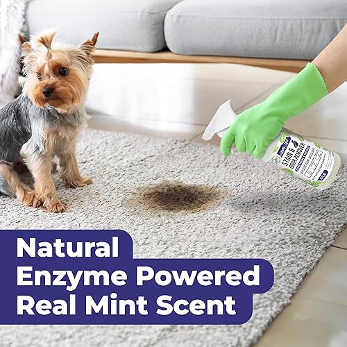 Miniatura 3 de Mighty Mint Removedor de manchas y olores, el aerosol enzimático natural neutraliza de forma segura el olor y las manchas de perros, gatos en