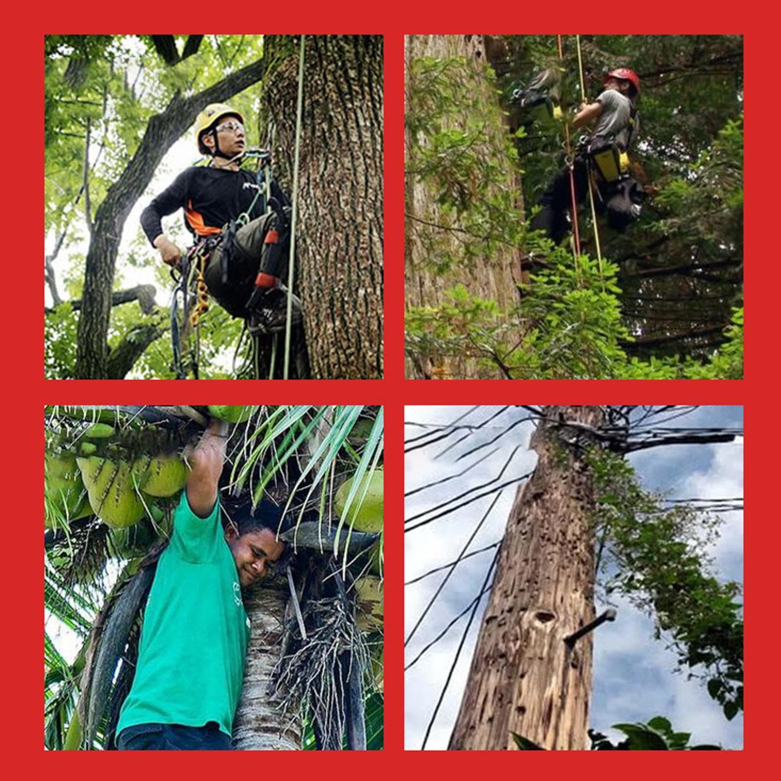 Generico Ramponi Per Arrampicata Su Alberi - Set Attrezzatura Scalata | Scarpe Artiglio Gatto Con Viti E Cinghie | Per Lavori Boschivi, Raccolta Frutta, Caccia E Salvataggio, Antiscivolo