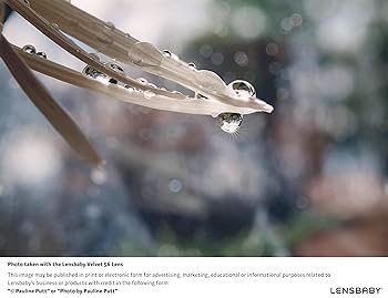 Amazon.co.jp: Lensbaby ソフトレンズ Velvet 56SE 56mm F1.6