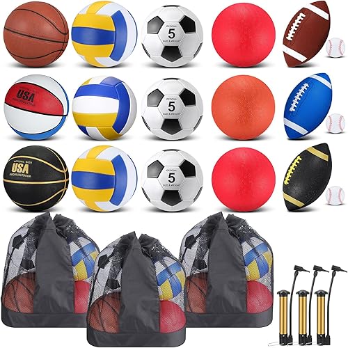 Leyndo 18 Pcs Sport Balls Bulk Set Basketball Football Volleyball Soccer Playground Baseball with Sport Equipment Bag Pump for Outdoor Indoor Practice Gift