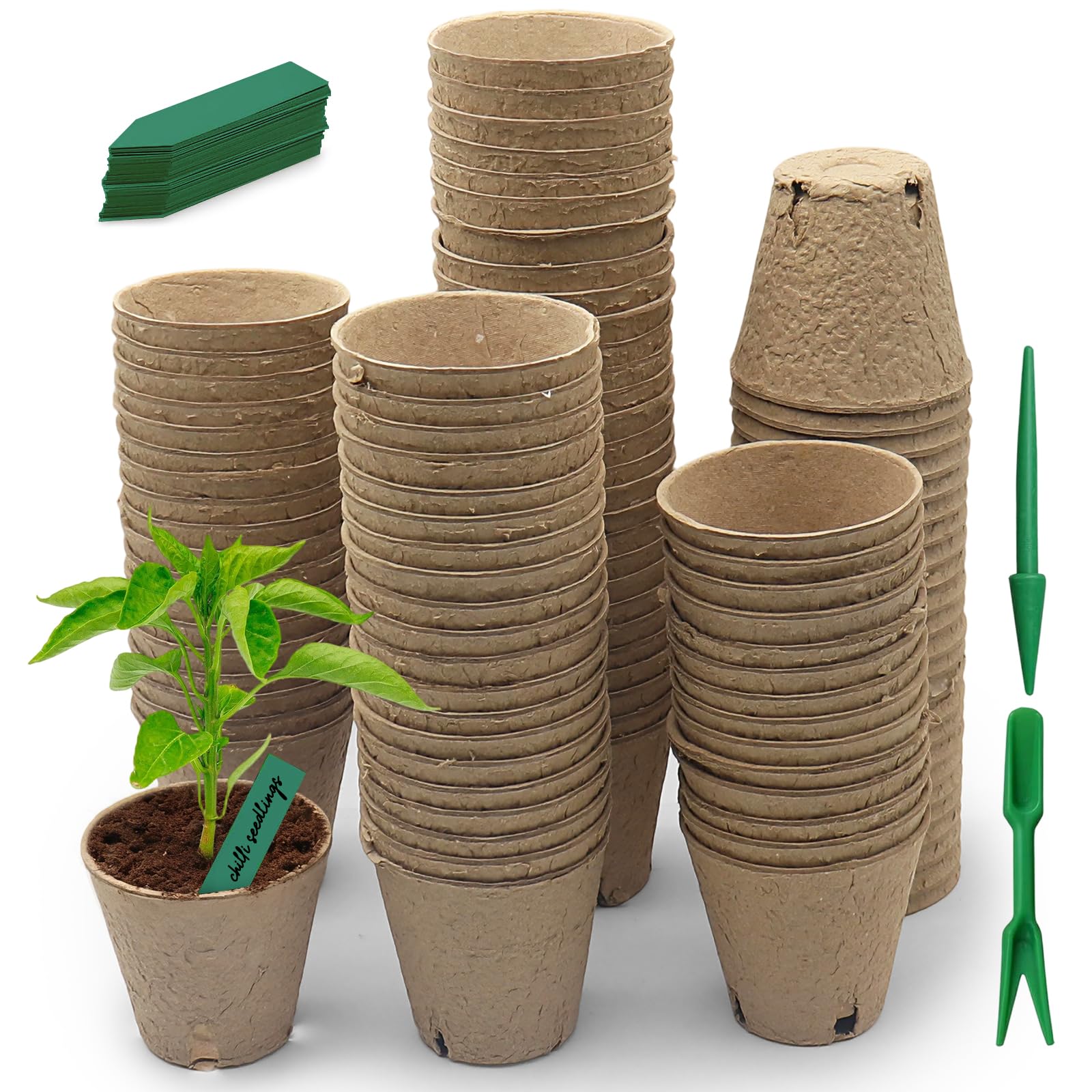 80 Biodegradable Seed Pots Ø 8 cm – Compostable Paper Fiber with Drainage Holes – Ideal for Sustainable Gardening, Herbs, Flowers & Plants
