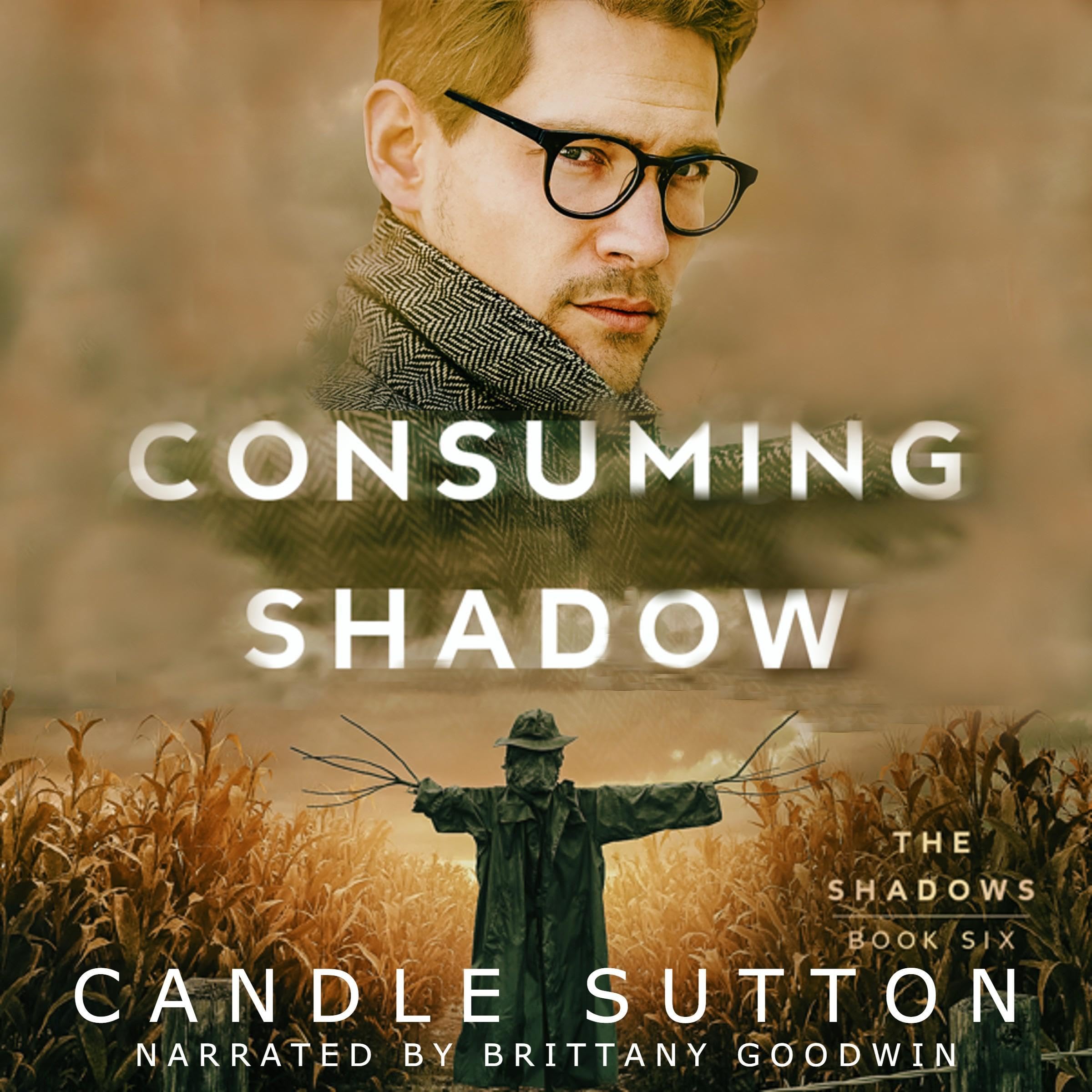 Cover art for Consuming Shadow