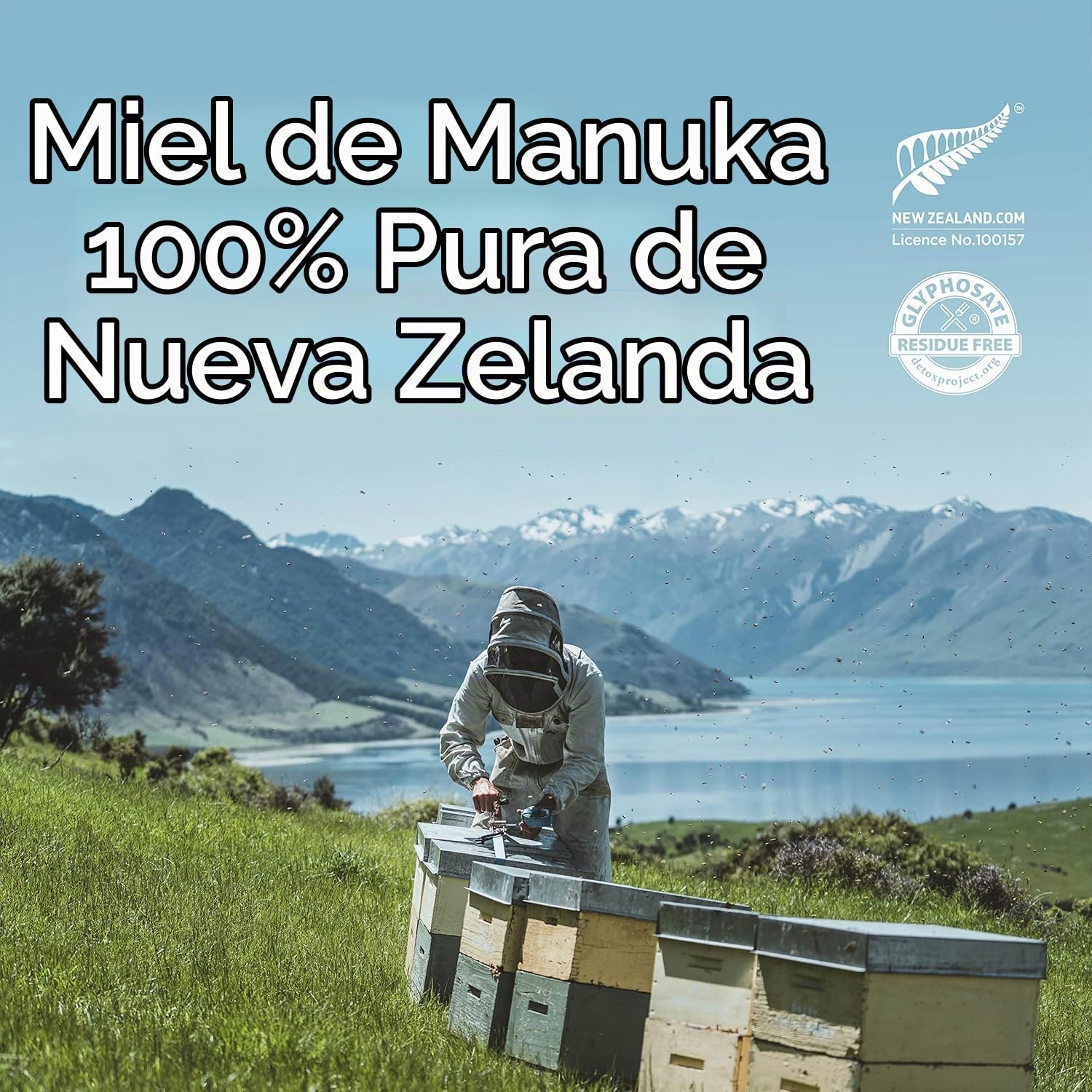 New Zealand Honey Co. Miel de Manuka MGO 1450+ / UMF 28+ - 250g - El Grado Más Alto de NZHC · Miel Monofloral Certificada UMF - Trazable desde la Colmena - Nueva Zelanda