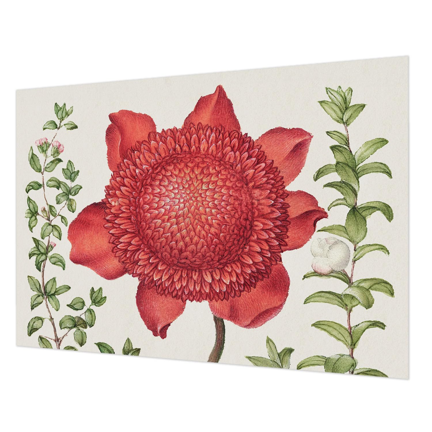 Décor mural intissé 312x219 cm élégance florale pour salon