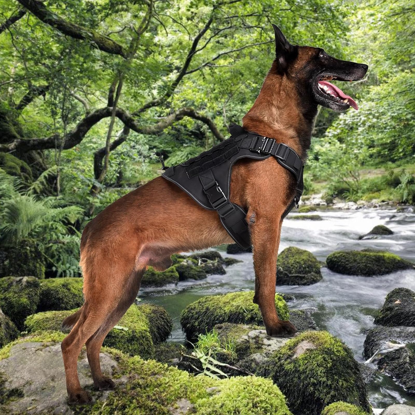 Imbragatura Tattica Riflettente per Cani, Imbracatura per Animali Domestici Regolabile E Facile da Controllare, con Maniglia, Imbracatura Tattica per Cani A Movimento Rapido,B,L