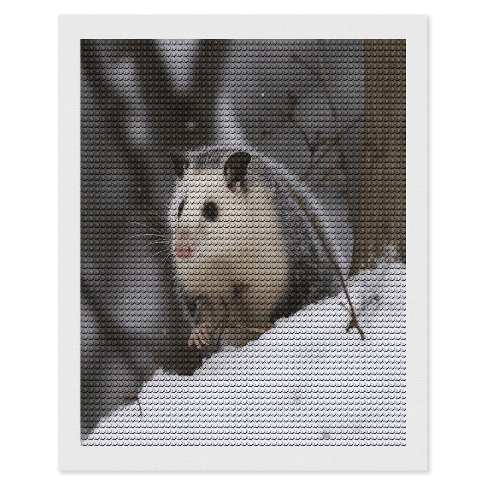 FekiLoot Opossum in Snow Diamond Art Kits for Adults Diamond Painting Kits for Beginners DIY Diamond Art Kits Round Full Drill Diamond Dot Gem Painting for Home Wall Decor Gift 16"x20"