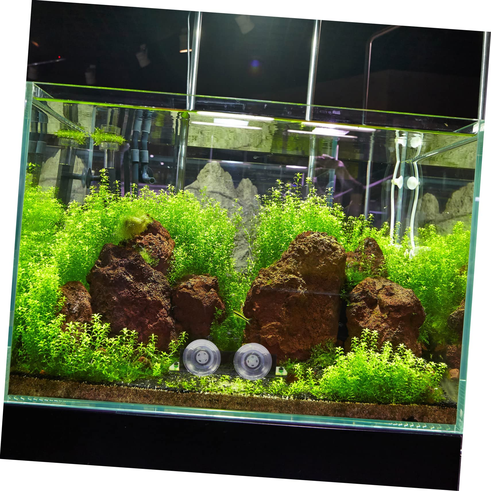 Mipcase 3stücke Acryl Korallen Rack Für Aquarium Korallen Unterstützung Praktisch Und Stabil Für Aquarienpflege Und Zucht